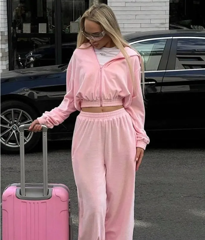 Street Style Long-Sleeve Hooded Zip-Up Jacket and Elastic Waist Pants Casual Two-Piece Set.W-240812-2