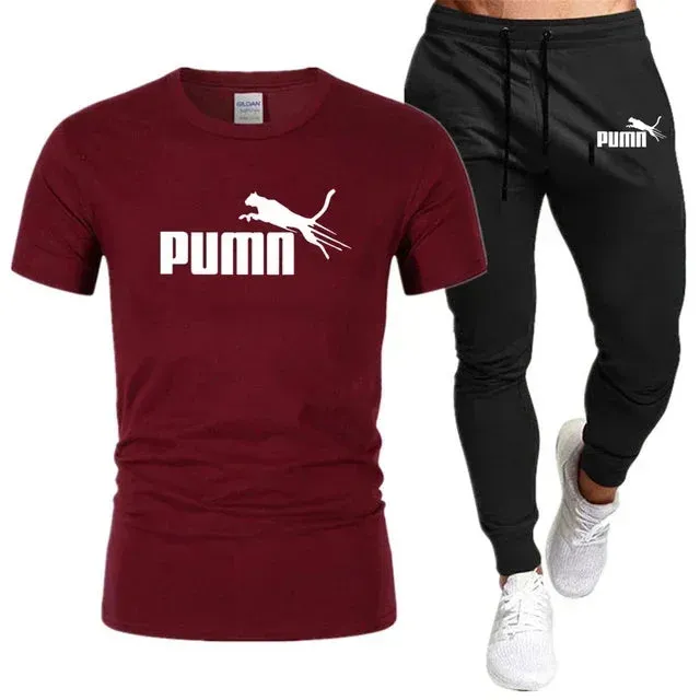Summer Cotton T-Shirt and Pants Set for Men