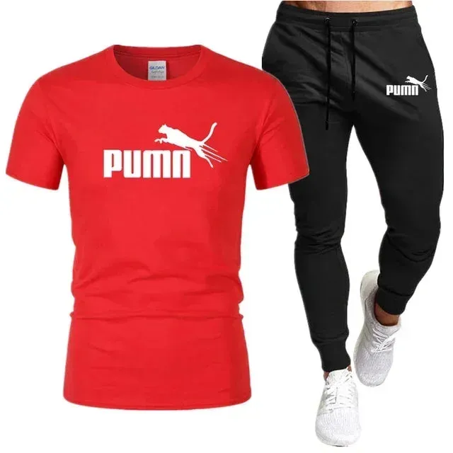 Summer Cotton T-Shirt and Pants Set for Men