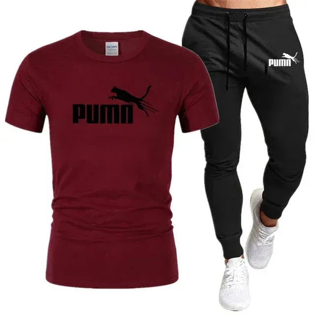 Summer Cotton T-Shirt and Pants Set for Men